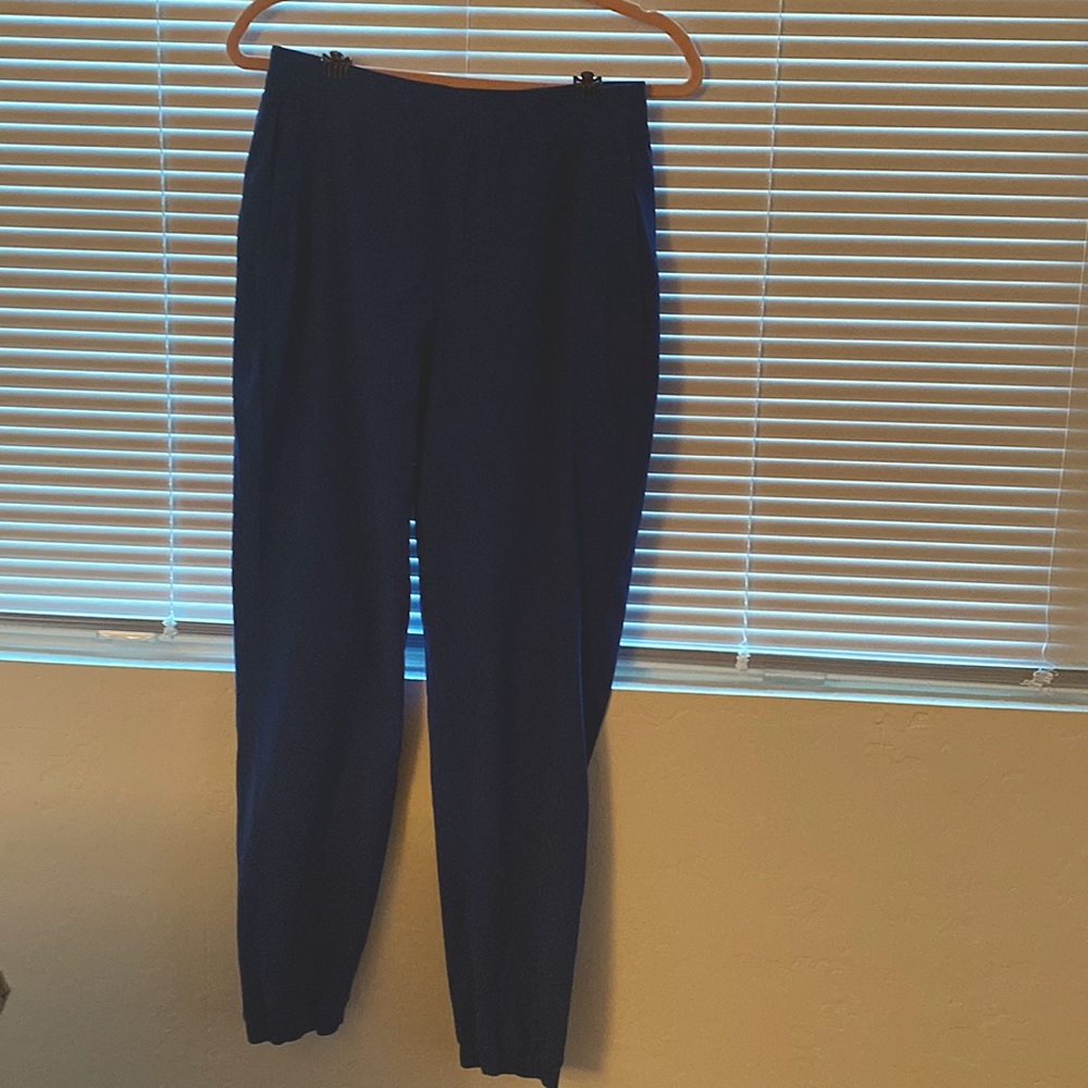 Lululemon Adapted state jogger - never worn